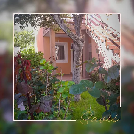 Savic-Stan Na Dan Apartament *